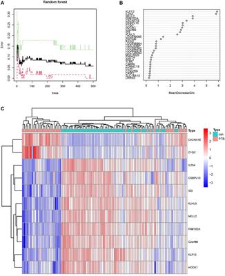 A united model for diagnosing pulmonary tuberculosis with random forest and artificial neural network